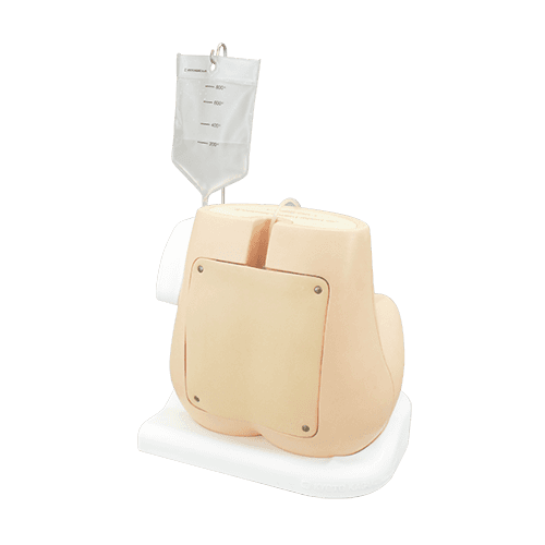 M43B Lumbar Puncture Simulator IIA - Light Tone