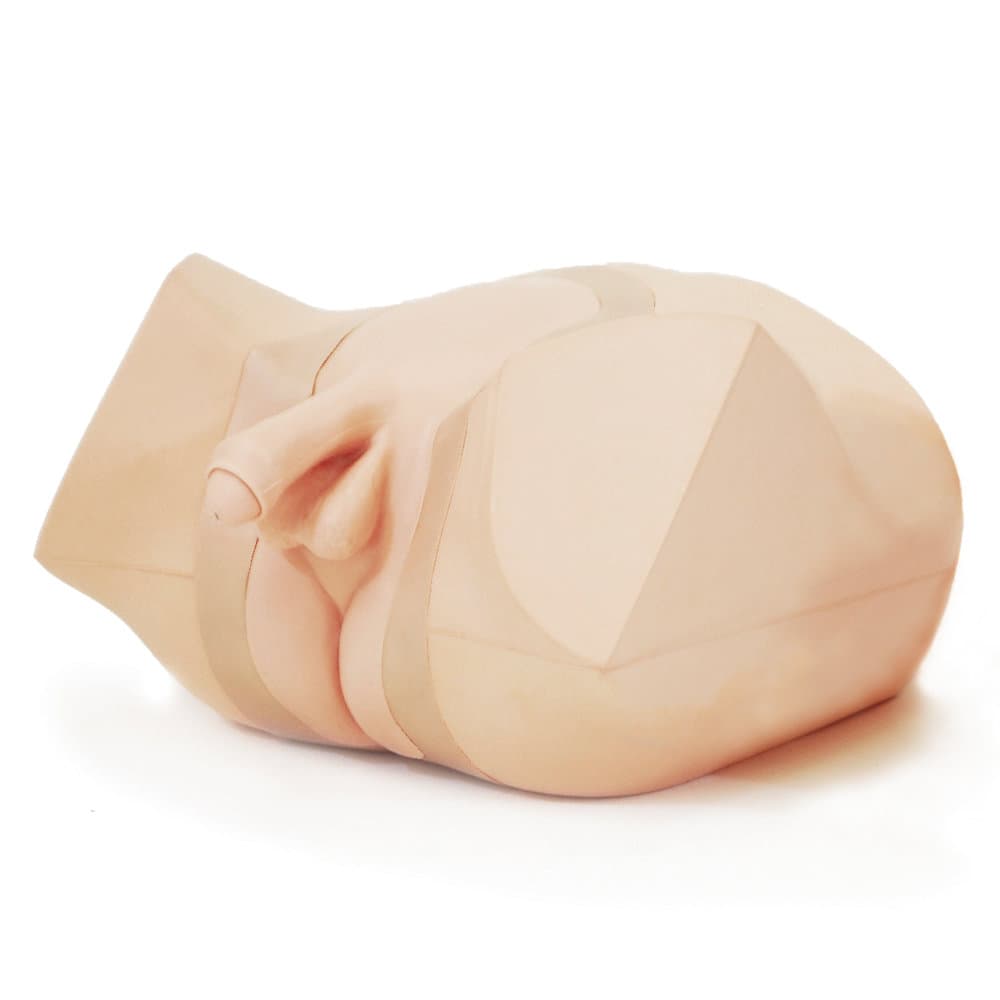 MW2A Male Catheterization/Enema Simulator