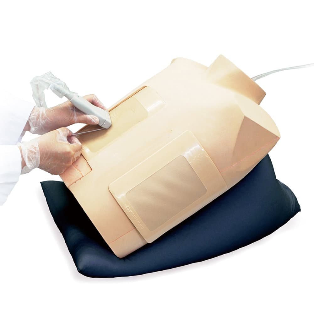 MW17 Ultrasound-Guided Thoracentesis/ Pericardiocentesis Simulator