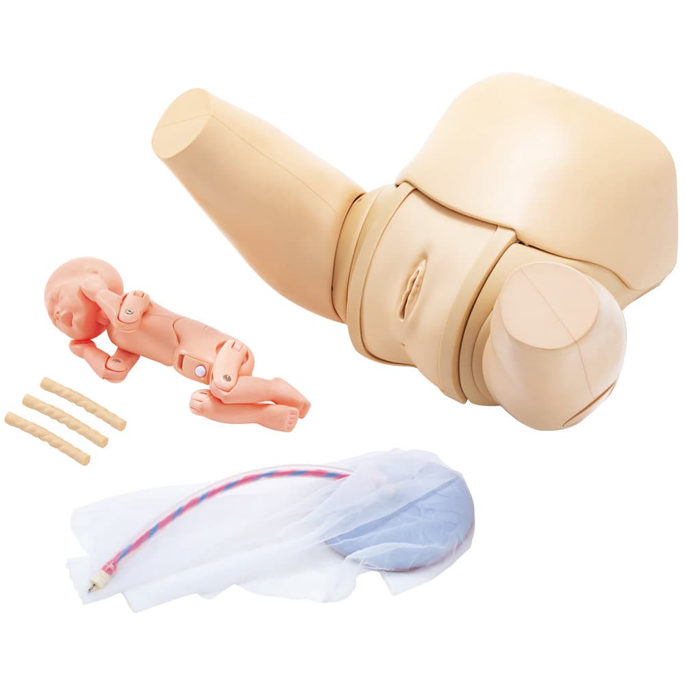 MW36 Vaginal Delivery Assistance Simulator