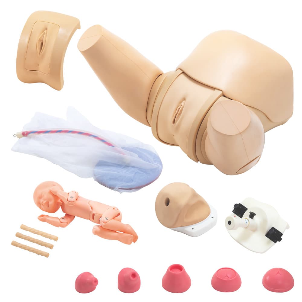 MW40 Obstetric Training Simulator - Complete Set