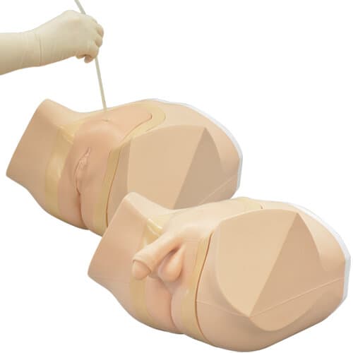 MW58 Suprapubic Catheter Care Simulator - Male