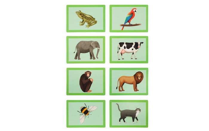 Snap Card Games - Animal Snap
