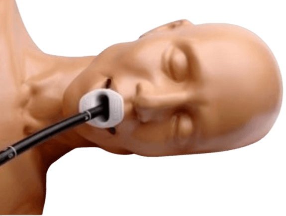 Transoesophageal and Transthoracic Echo Ultrasound Training Model