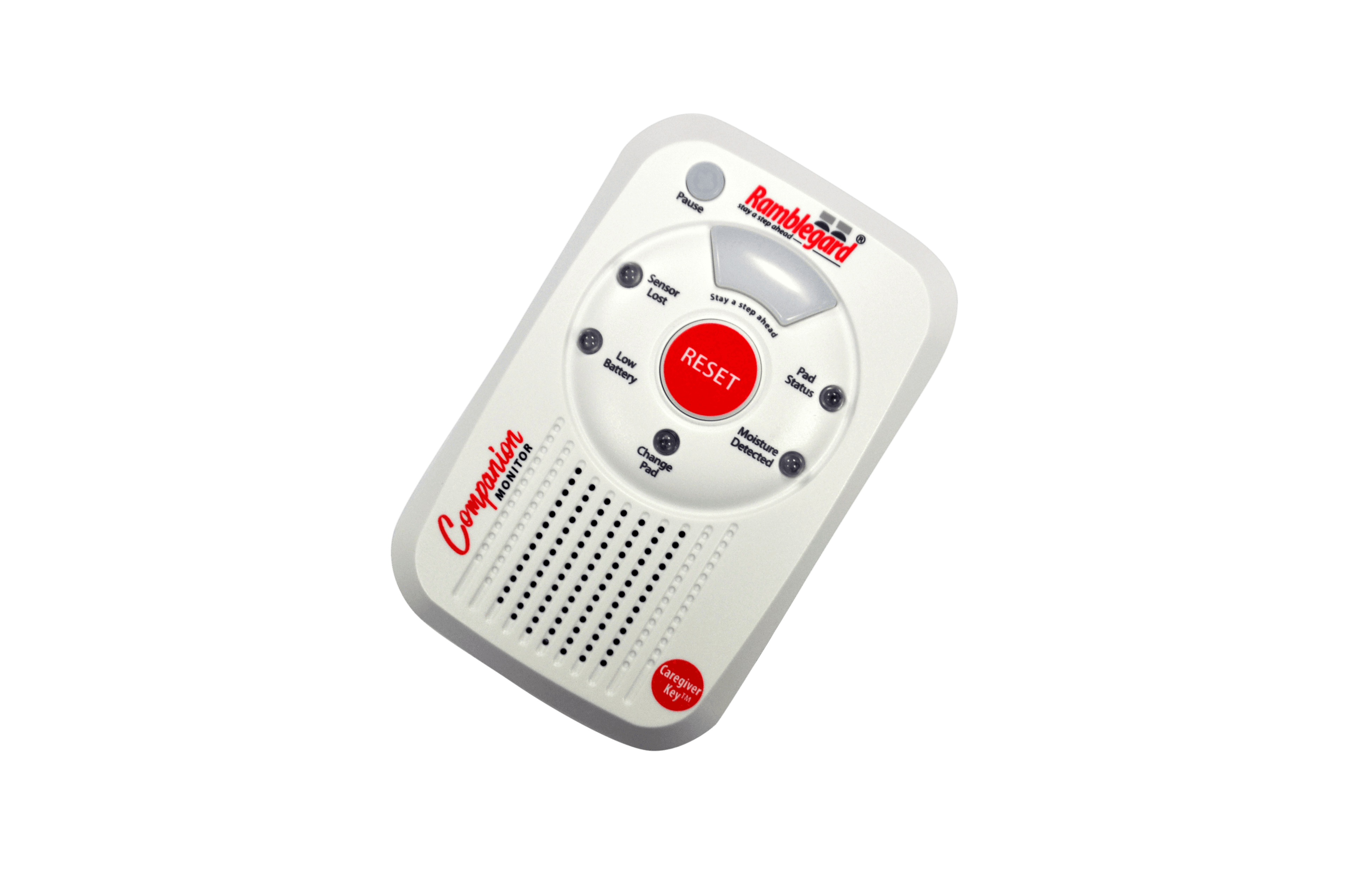 V2 Ramblegard Wireless Companion monitor Only [RG2]