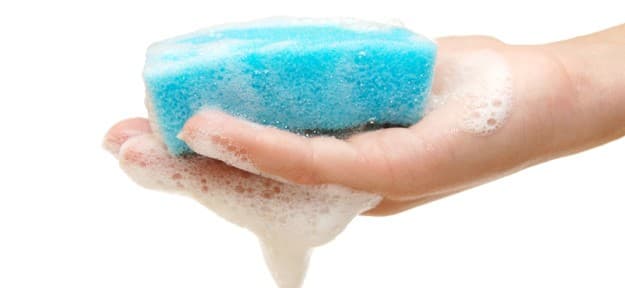 Nex Complete BodySPONGE (1)