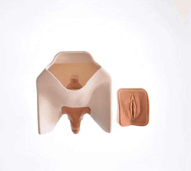 Catheterisation Trainer