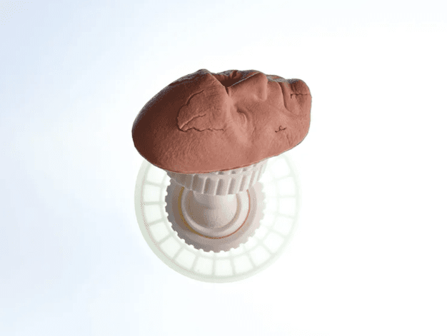 facial laceration suturing
task trainer