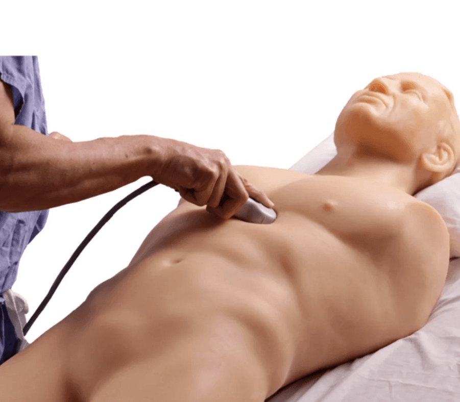 FAST Exam Ultrasound Training Model