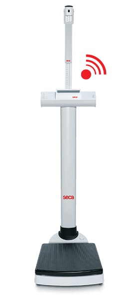SECA Telescopic Measuring Rod