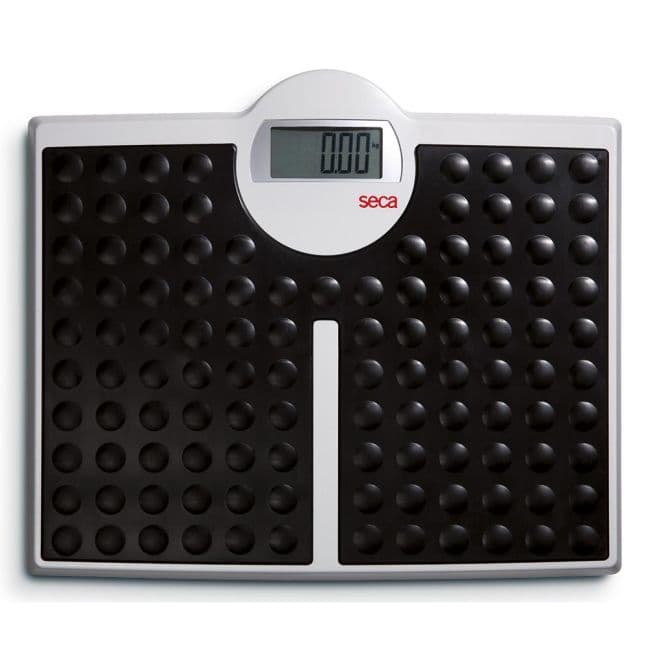 Seca 813 Robusta Electronic Scales Large Platform