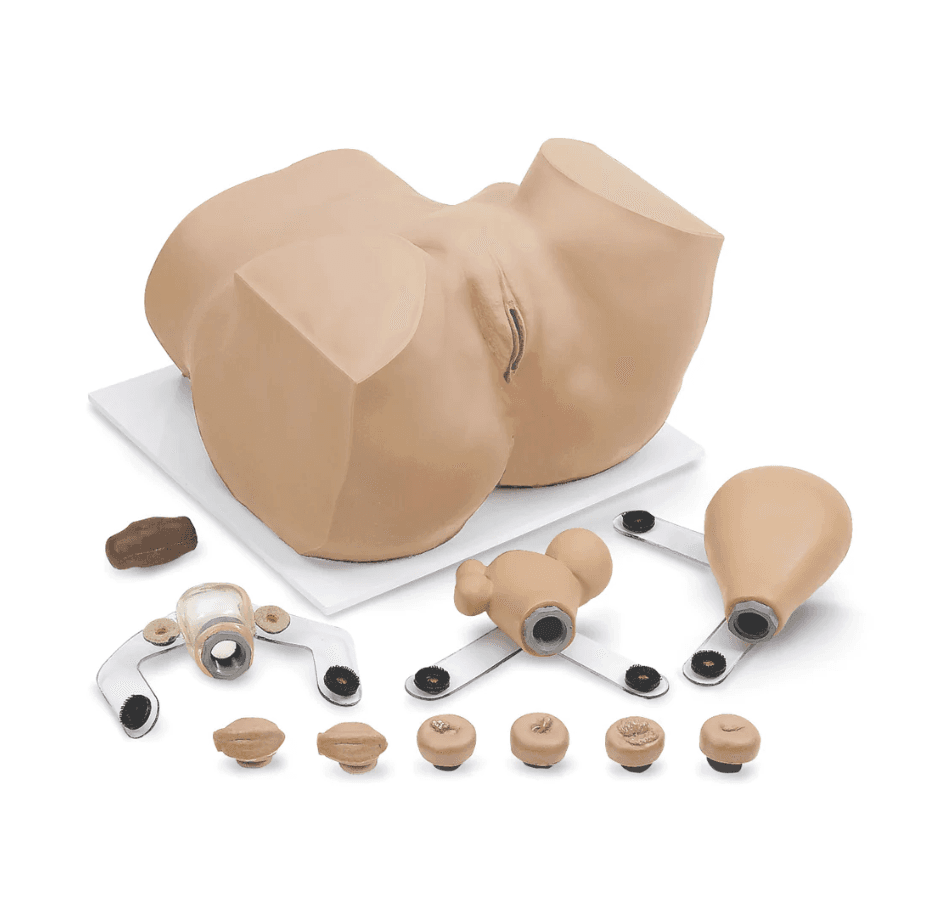 EVA Gynaecologic Manikin with Carry Case