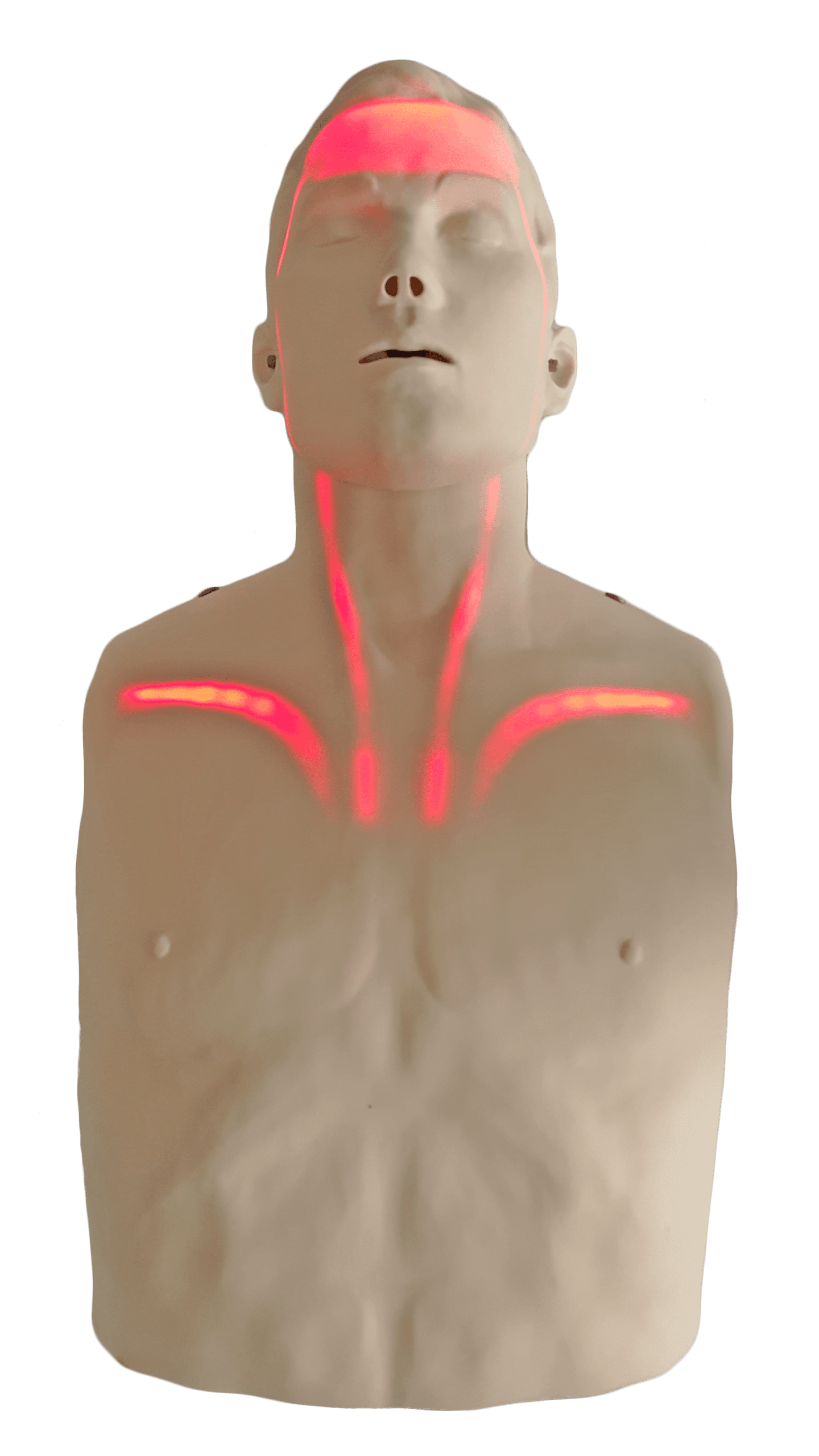 Brayden CPR Manikin Kit with RED Illumination LED Lights