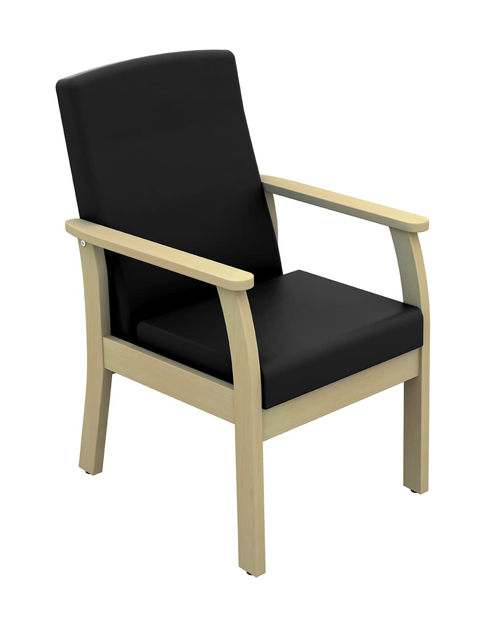 Atlas Patient Low Back Arm Chair with Arms