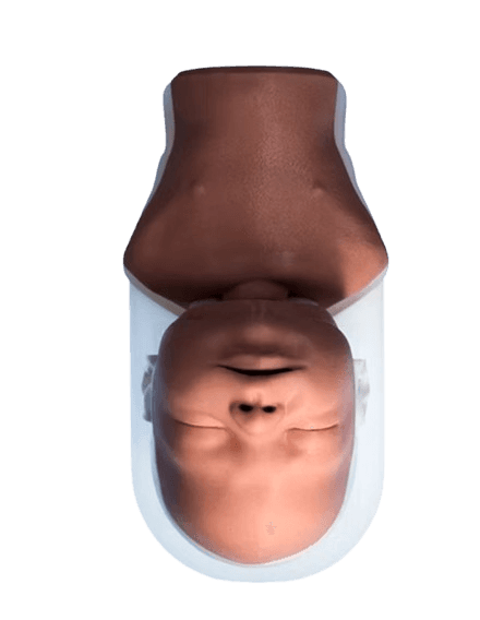 Newborn Airway Management Task Trainer
