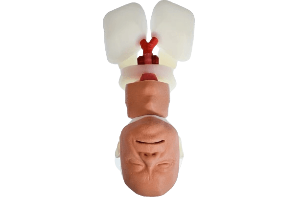 Airway Management Trainer - Elderly Male