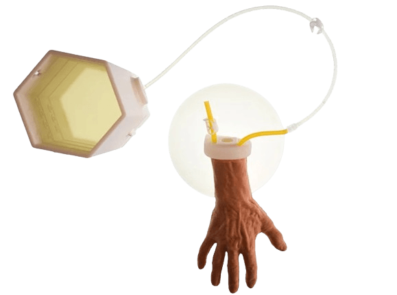 IV Hand Trainer