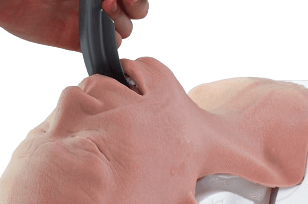 Airway Management Task Trainer V2